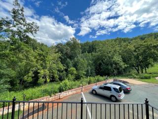 Sonsak - Unit 4 - Charlottesville - 1