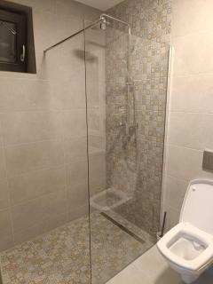 Casa cu prispa Daneș - Daneş - 3