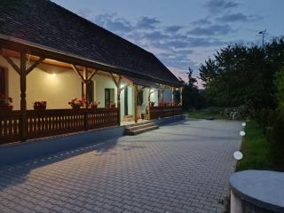 Casa cu prispa Daneș - Daneş - 1
