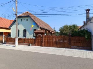 Casa cu prispa Daneș - Daneş - 0