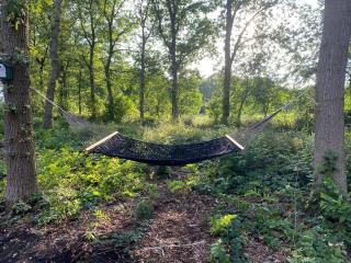 NIEUW Eco design bosvilla met sauna en xl tuin - Wateren - 5