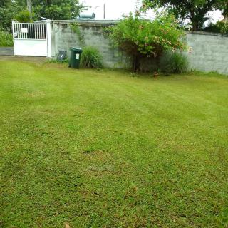 ALLEE DU MANOIR GÎTES - 1