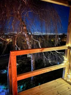 Cabane Jacomeli Genève - 1