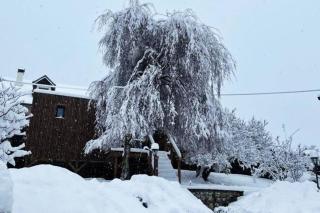 Cabane Jacomeli Genève - 7