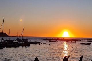 Depto. Nuevo Algarrobo patio privado - 5