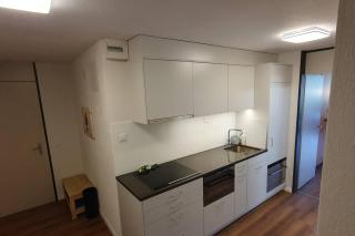 Stilvolle Wohnung mit traumhaftem Bergblick - Disentis - 1