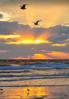 Dolphin house with Private Pool and Near Beach - Panama City Beach - 1