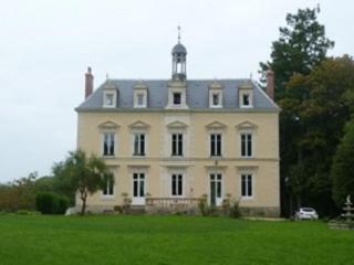 Château XIXe avec parc, chambres spacieuses et petit déjeuner local, proche forêt et cité médiévale - FR-1-410-411 - 8