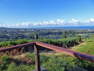 bambous-bungalows - 1