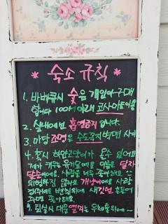 Dongpirang Private Pension #jungangmarket #petfriendly - Tongyeong - 2