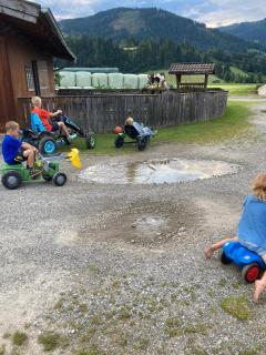 Feriengut Fingerhof - Flachau - 8