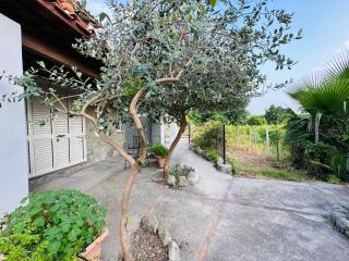 Il Vitigno di Dioniso - Ischia - 4