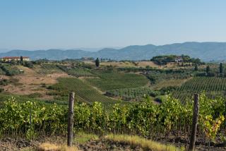 Girasole Apartment - Cerreto Guidi - 9