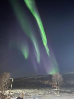 Charming place in Tromsø by the sea. - - 2
