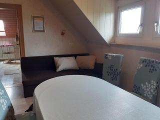 Cosy flat on a family friendly holiday farm in northern Hesse - Trendelburg - 6