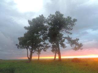 TIANI Gest House - 2