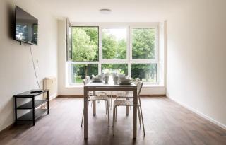 Stay & Work - 6 single beds - central - Emmerich am Rhein - 0