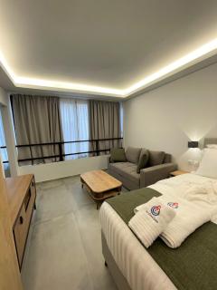 Chic Centre Suites Athens - Atene - 8