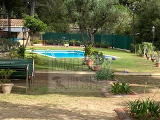 Bv-am 001-can Palome. - 9