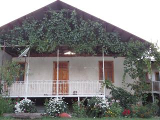 Guest House Aleksandre - T'mogvi - 6