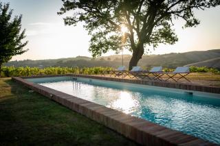 Villa il Moro - Montalcino - 7