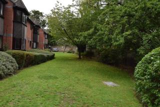 Spacious flat with free parking in Croydon - Croydon - 8