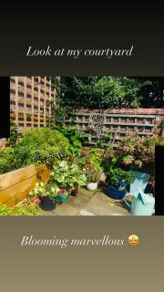 Edwardian House - 4