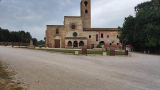 B&B I Tre Ulivi - 5