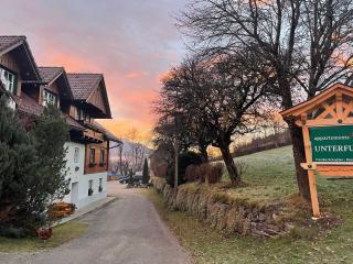 Unterfuchs - Schladming - 5