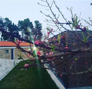 Trancoso Ecohouse - Trancoso - 8