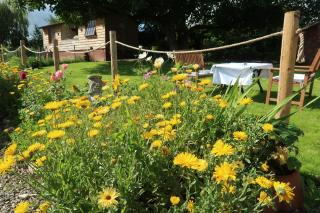 The Old Pantry at Hill Farm - 3