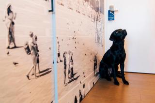 Hotel Stein - Adults Only - Salisburgo - 2