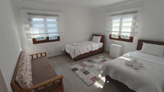 Onsakku dağ evi - Ardeşen - 7