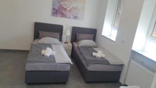 Pension Bad Soden / Apartment and Rooms - 1