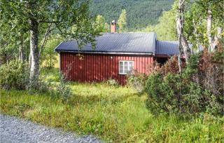 3 Bedroom Lovely Home In Rjukan - Rjukan - 0
