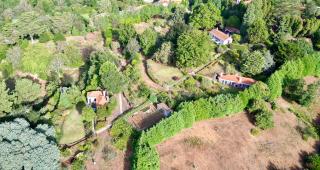 Quinta Das Faias - Camacha - 2