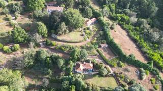 Quinta Das Faias - Camacha - 1