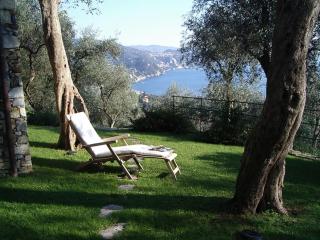 Ulivi nel blu Country House With Pool 2 rooms - 2