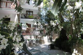 PLATANOFYLLA Studios & Apartments - Kala Nera - 8
