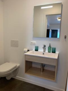Homestay, ground floor, comfort room - Bruges - 4
