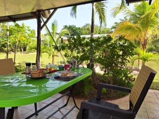 Beauty by Nature Garden Retreat with STARLINK WiFi - 9