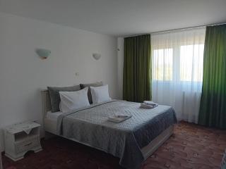 Pensiunea Paradis Vrâncean - Focşani - 8