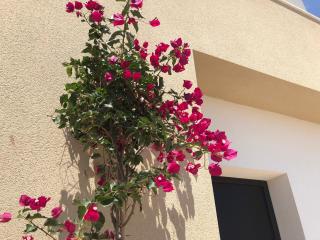 Villa Turmalina with private pool in La Zenia - Orihuela - 5