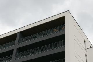 The Forest - Luxe Central Apt with free secured parking - Braşov - 5