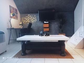 Le Duplex Décontracté - Fleury-les-Aubrais - 1