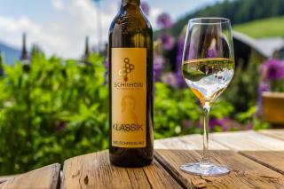 Gasthof-Appartements Sportalm - 1