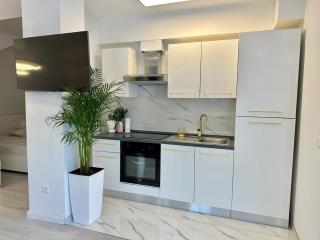 Apartment Teo with Terrace - Rovinj - 8
