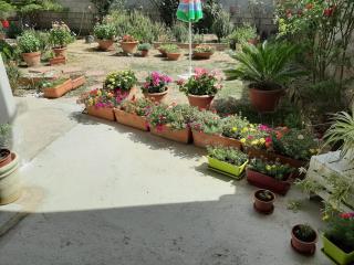 Casa vacanze Millefiori Codice IUN Q3156 - Teulada - 7