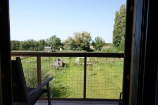 Maison bois Les Conches 6/8 Pers - Longeville-sur-Mer - 3