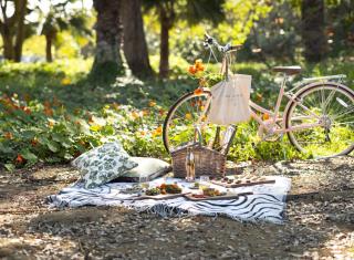 The Steward, Santa Barbara, a Tribute Portfolio Hotel - 3